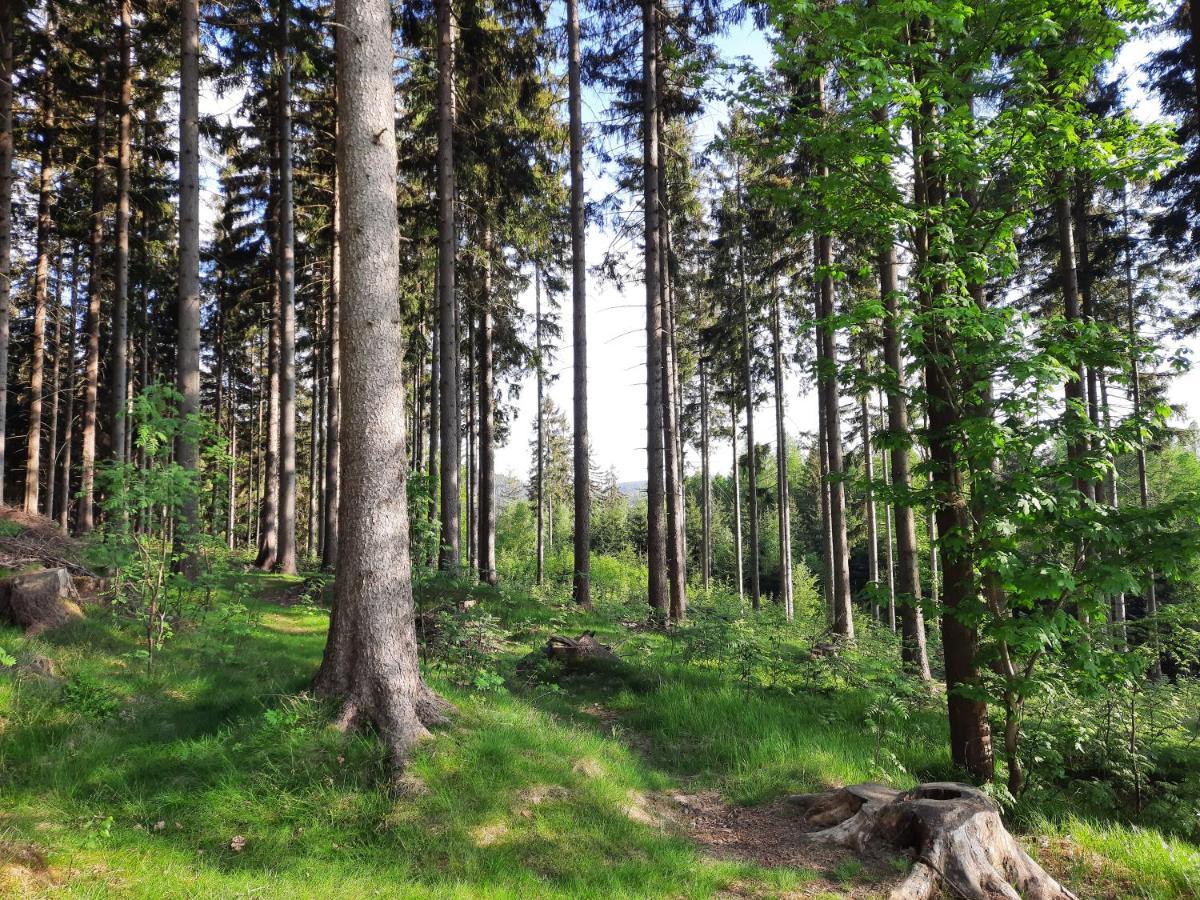 Apartman Mezi Stromy Rokytnice nad Jizerou Extérieur photo