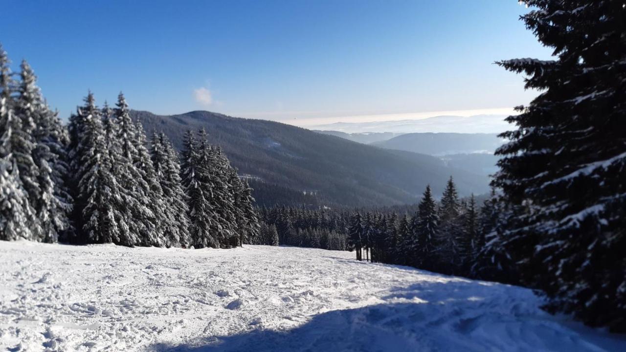 Apartman Mezi Stromy Rokytnice nad Jizerou Extérieur photo